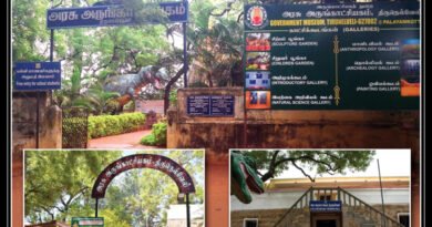 DEVELOPMENT OF MUSEUMS