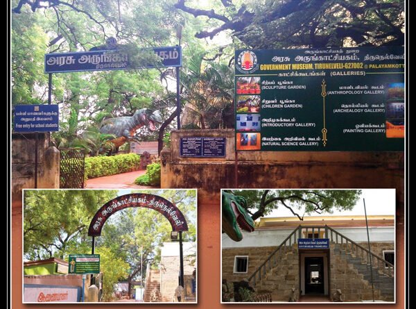 DEVELOPMENT OF MUSEUMS